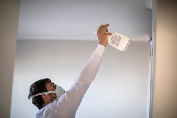 Mold Removal and Inspection in Kings Mountain, NC