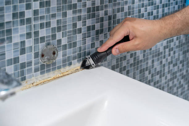 Best Home Mold Removal  in Kings Mountain, NC